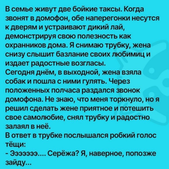 Так себе картинки 26.11.25