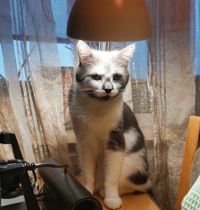 Скучалка
