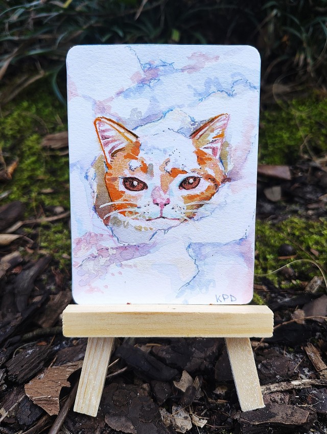 Зимние арты с кошками