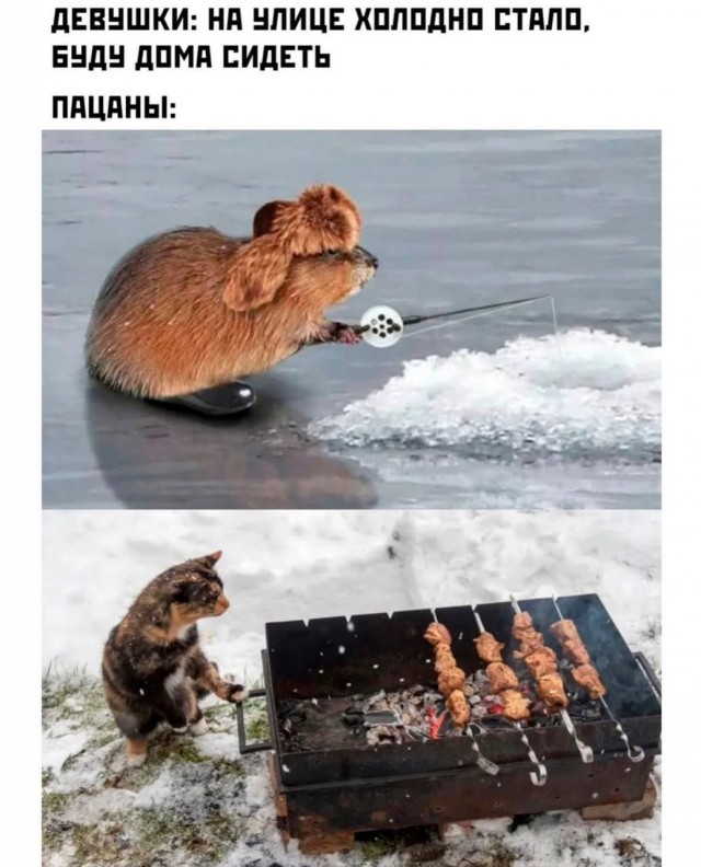 Среды картинки