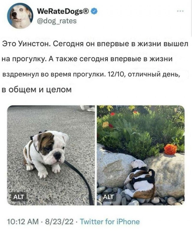 Немного воскресных картинок