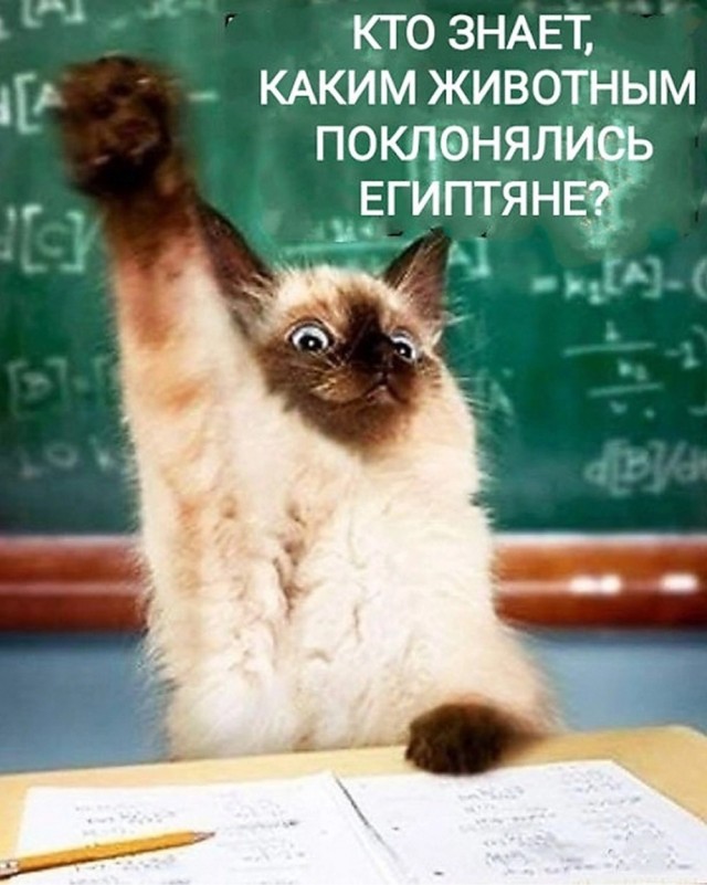 Вторника картинки