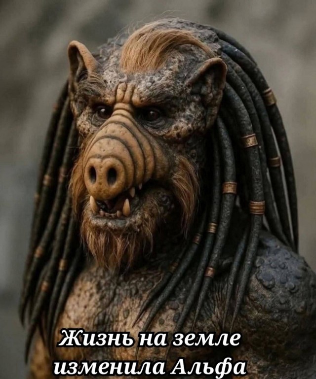Картинки для деградации 219 (разной степени свежести)