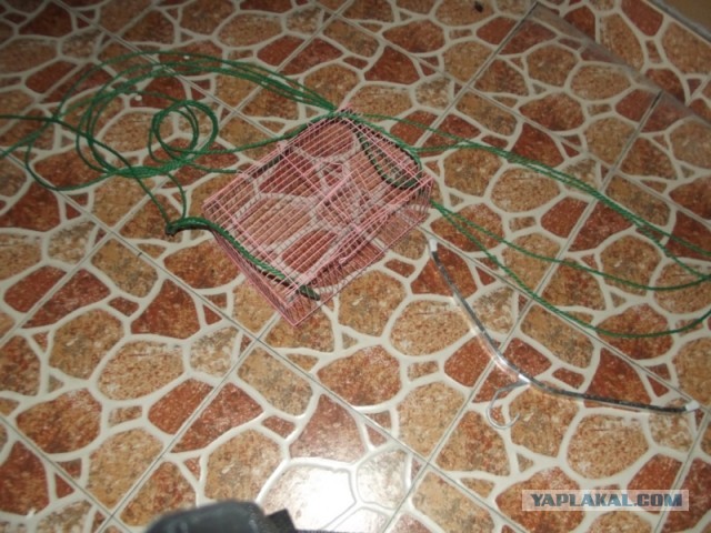 Сходили на пикник а там секАс кругом