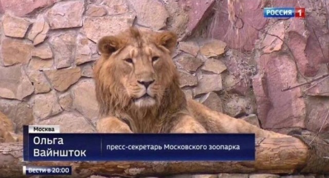 Никакого комплекса у меня нет, я действительно неполноценный!