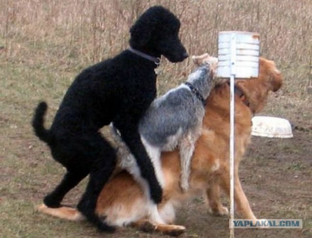 Самые провальные сексуальные снимки