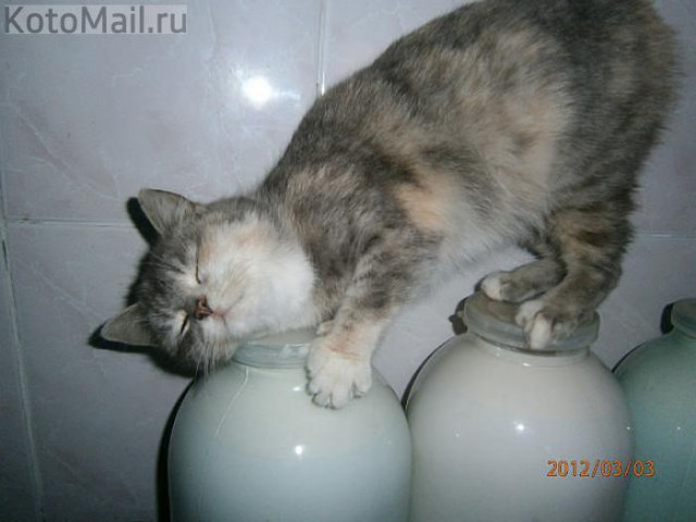 Просто фото