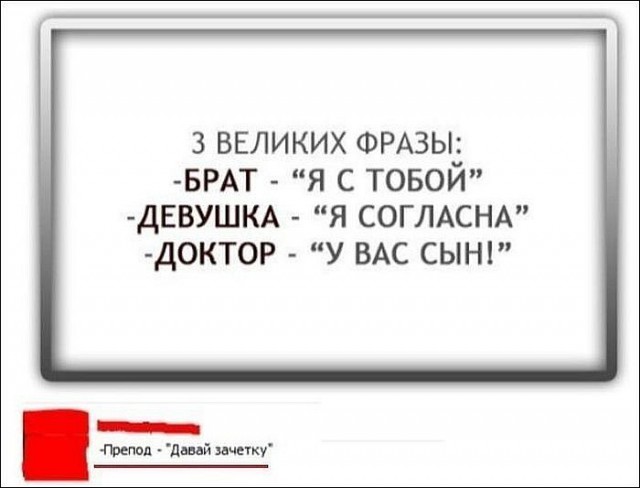 Смешные комментарии из социальных сетей 19.11.14