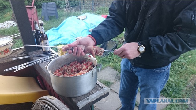 Шашлык, рецепты маринада, все про шашлык!