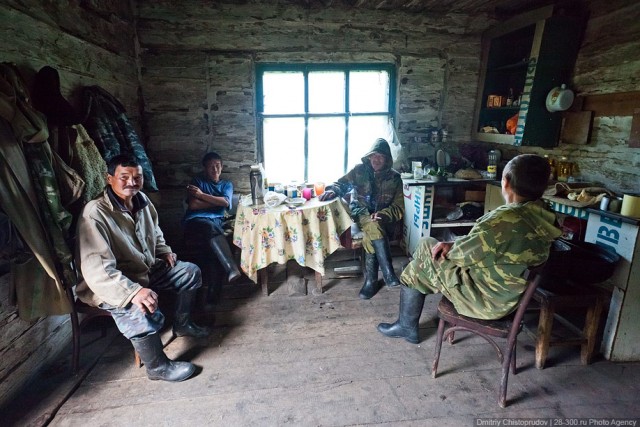 Дорога к пчелам за 4 млрд рублей