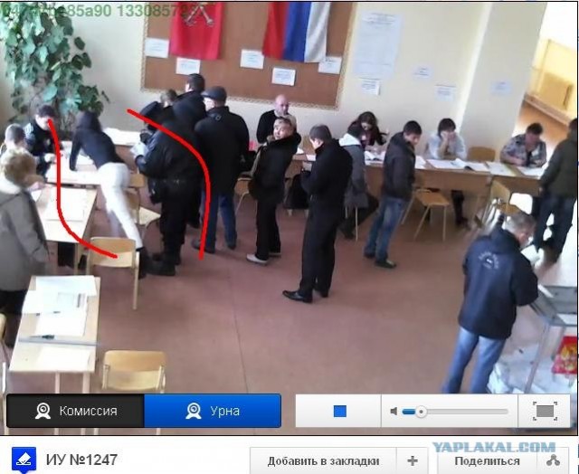 Веб-камеры на избирательных участках