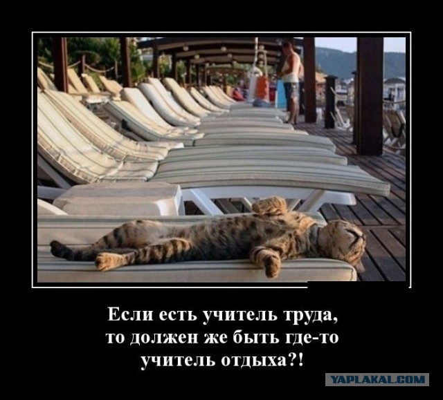 Картинки в черной рамке