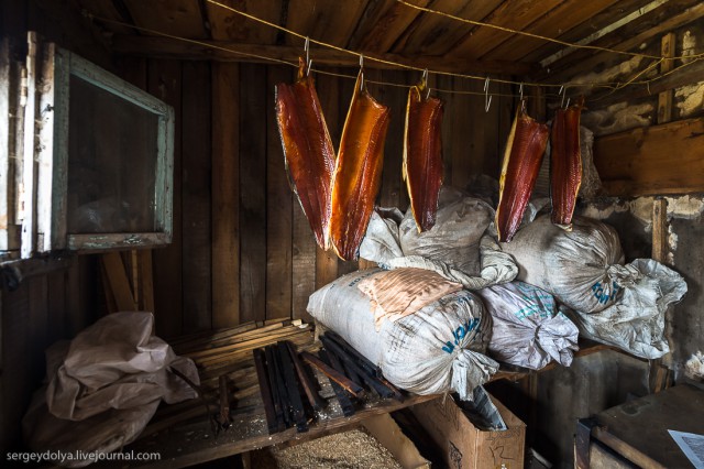 Как делают икру-пятиминутку и чем она отличается