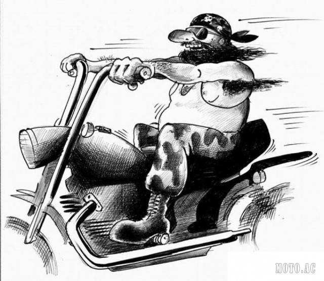 Для фанатов Короля и Шута