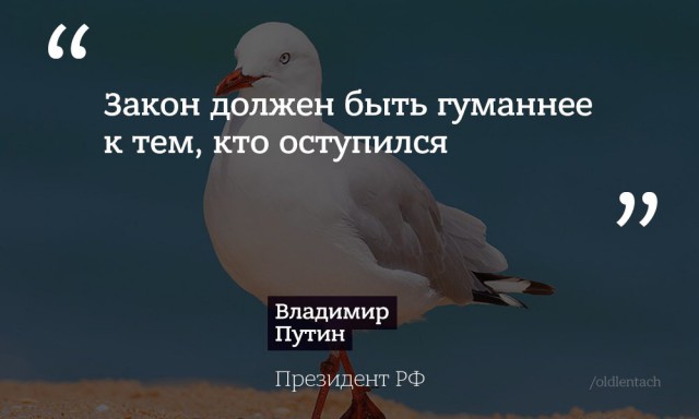 Генпрокурор Чайка опроверг обвинения Навального