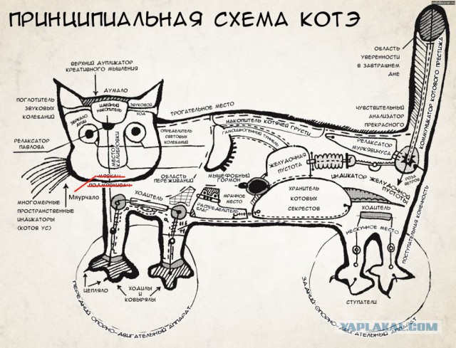 Оч. умелые ручки или аналоговый апгрейд гаджета