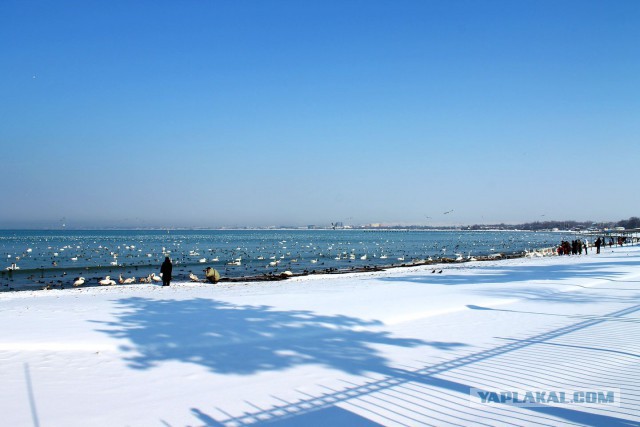 Такое разное Чёрное море