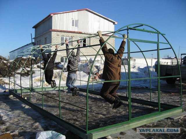 Нюансы арочных теплиц из поликарбоната.