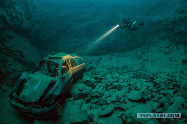 Самые красивые и необычные вещи, которые можно встретить под водой