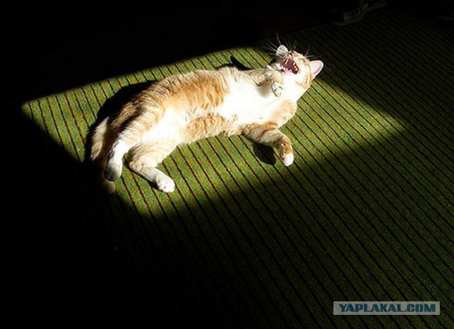 20 фото из серии "Как же хочется тепла"