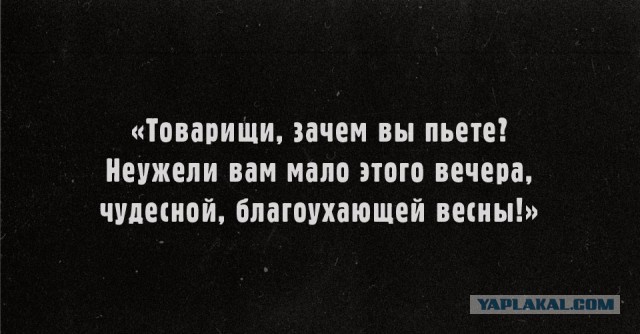 Абсурдная субботница