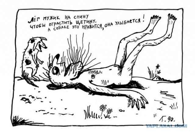 Абсурдный юмор ч. 23