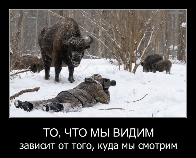 Субботняя подборочка картинок