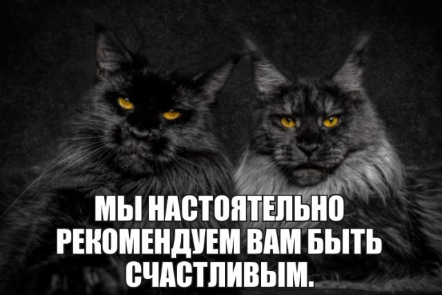 Исполнение желаний 4