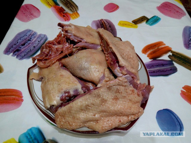 Мировая кулинария. День повара