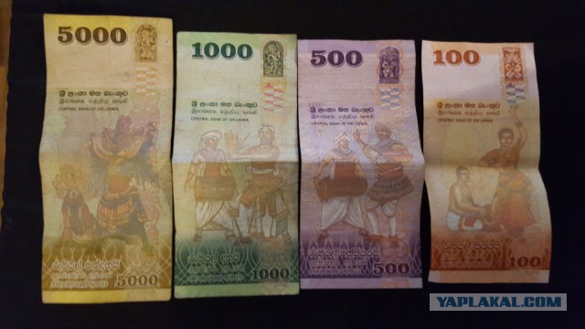 Самые красивые банкноты мира