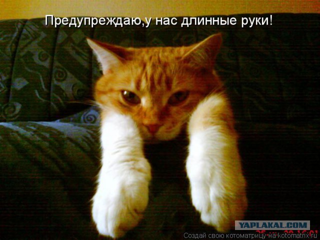 Снегурочка ЯПа 2017