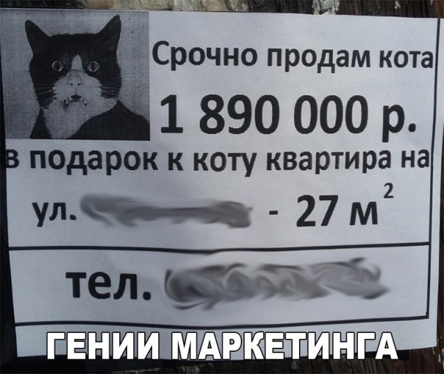 Подборка безудержного веселья