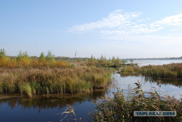 Одиночный поход с ночевкой, как вариант прощания с зимой