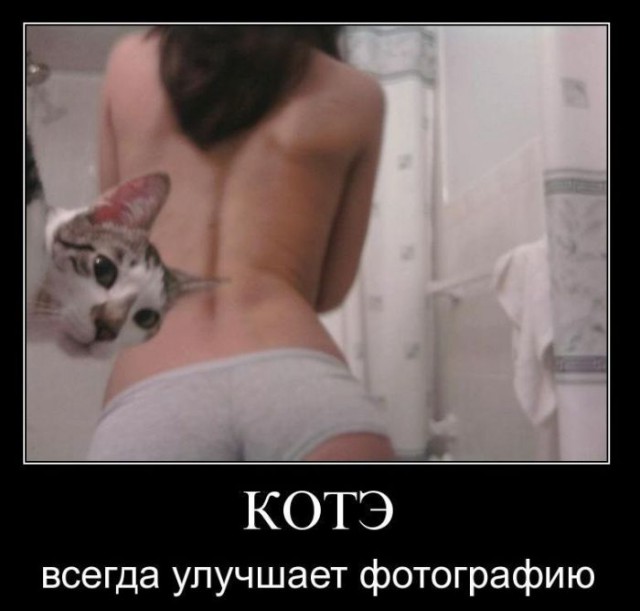 100 картинок для поднятия настроения!