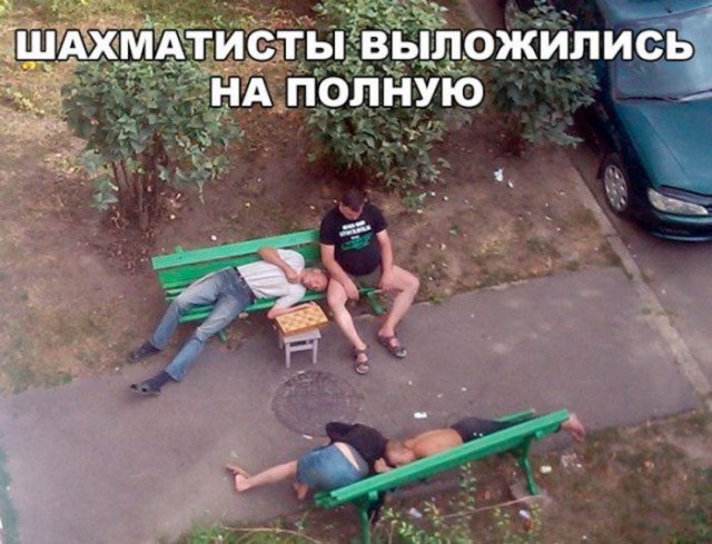 144 картинки для поднятия настроения!