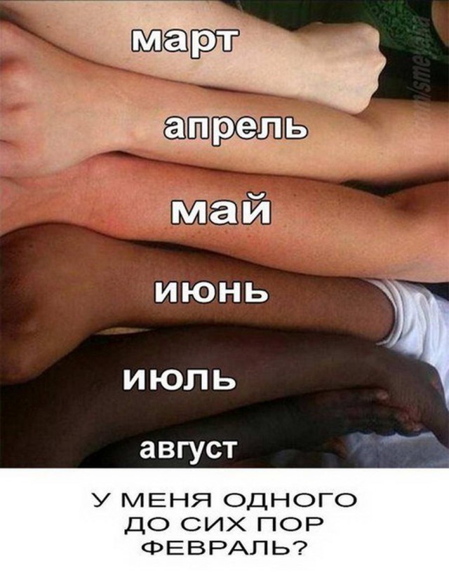 Подборка прикольных картинок на среду