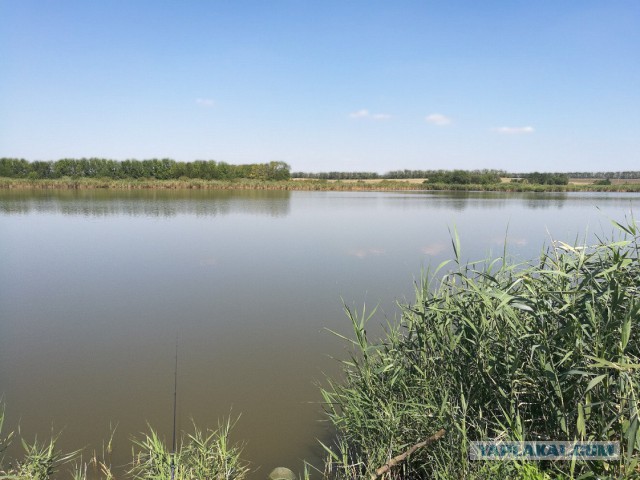 Азовское море. Ейск