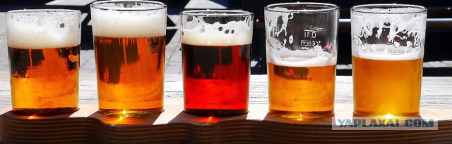 7 причин, почему кружка пива после работы – это хорошо