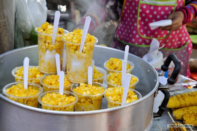 Чианг Май. Жемчужина Севера.