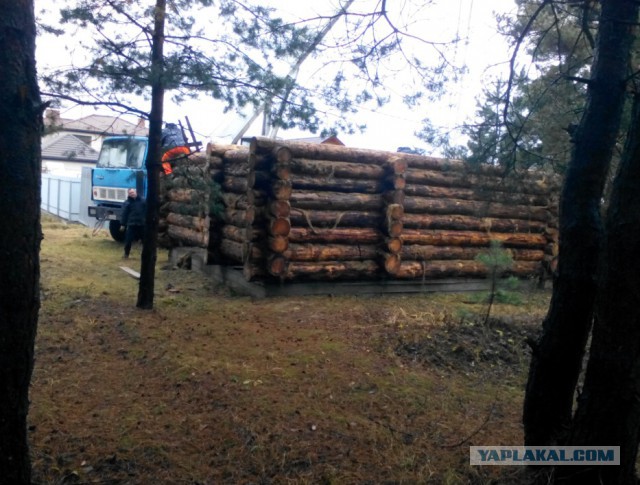 Дачно-банная эпопея