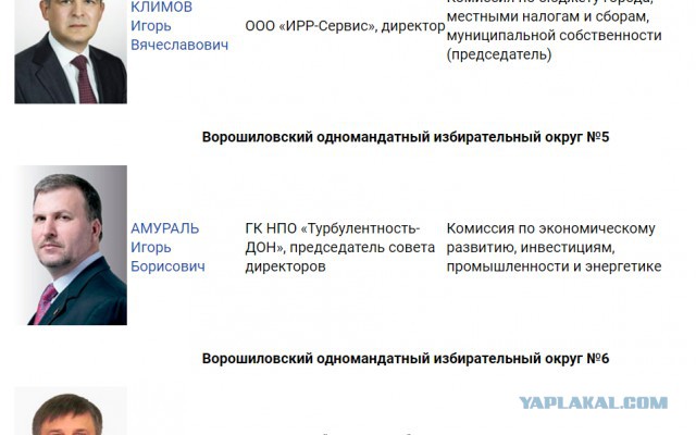 Правоохранительные органы Ростова не выявили состава преступления в действиях депутата