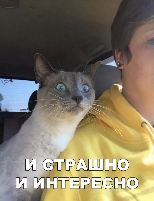 Немного милоты