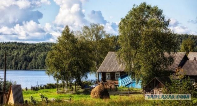 Как живет деревня в Красноярском крае, где 100% за Путина