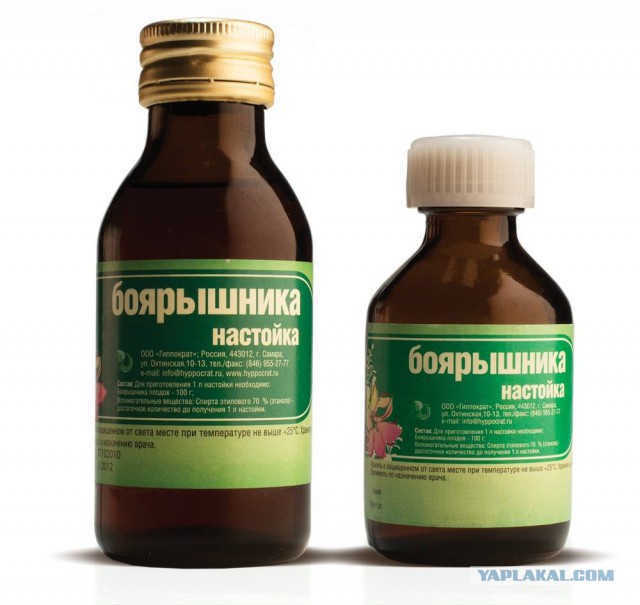 Понадобятся ли нам межзвездные космические корабли?