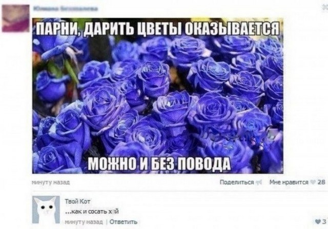 Если дома есть жена