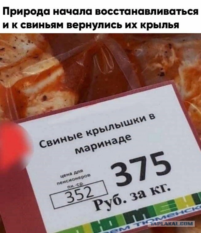 Пост картинок в понедельник 25.05. Всяких разных обо всём