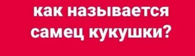 Бредзона 01.07.20