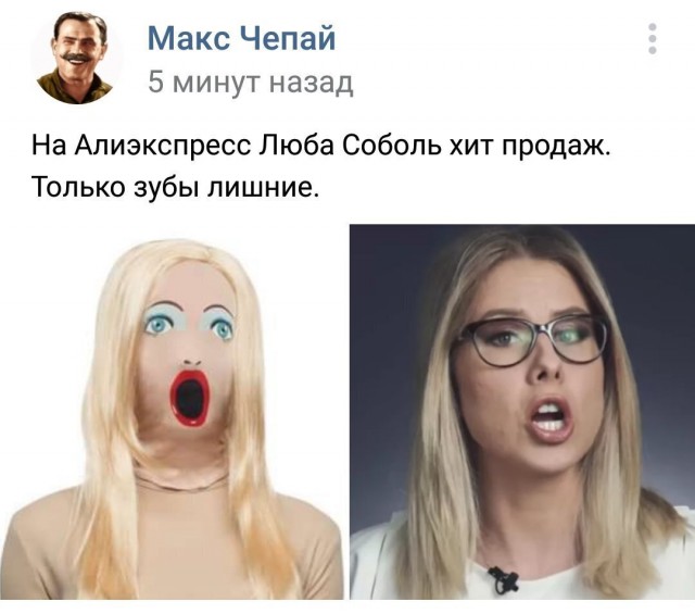 Опубликовано видео проникновения Соболь в чужую квартиру