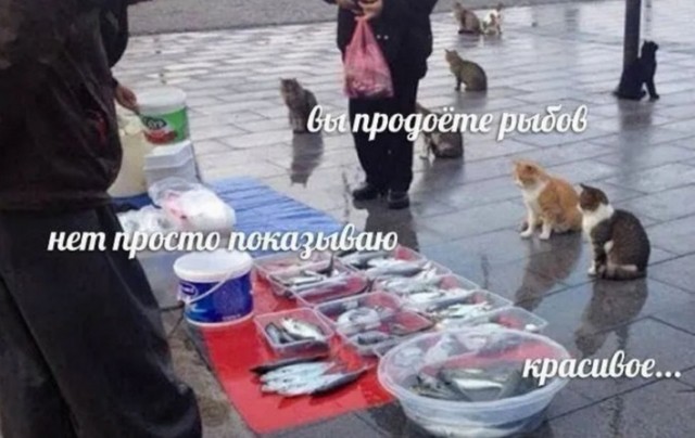Чкаловскую лестницу обновили! Красиво!