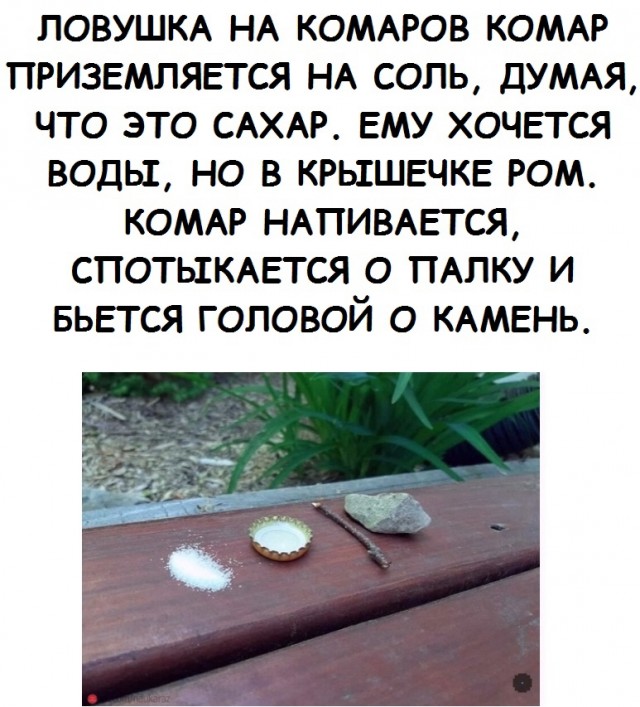 Юмор и прикольные картинки 11.10.2021